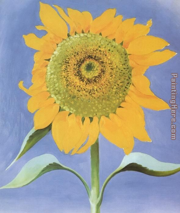Sunflower, New Mexico 1935 painting - Georgia O'Keeffe Sunflower, New Mexico 1935 art painting